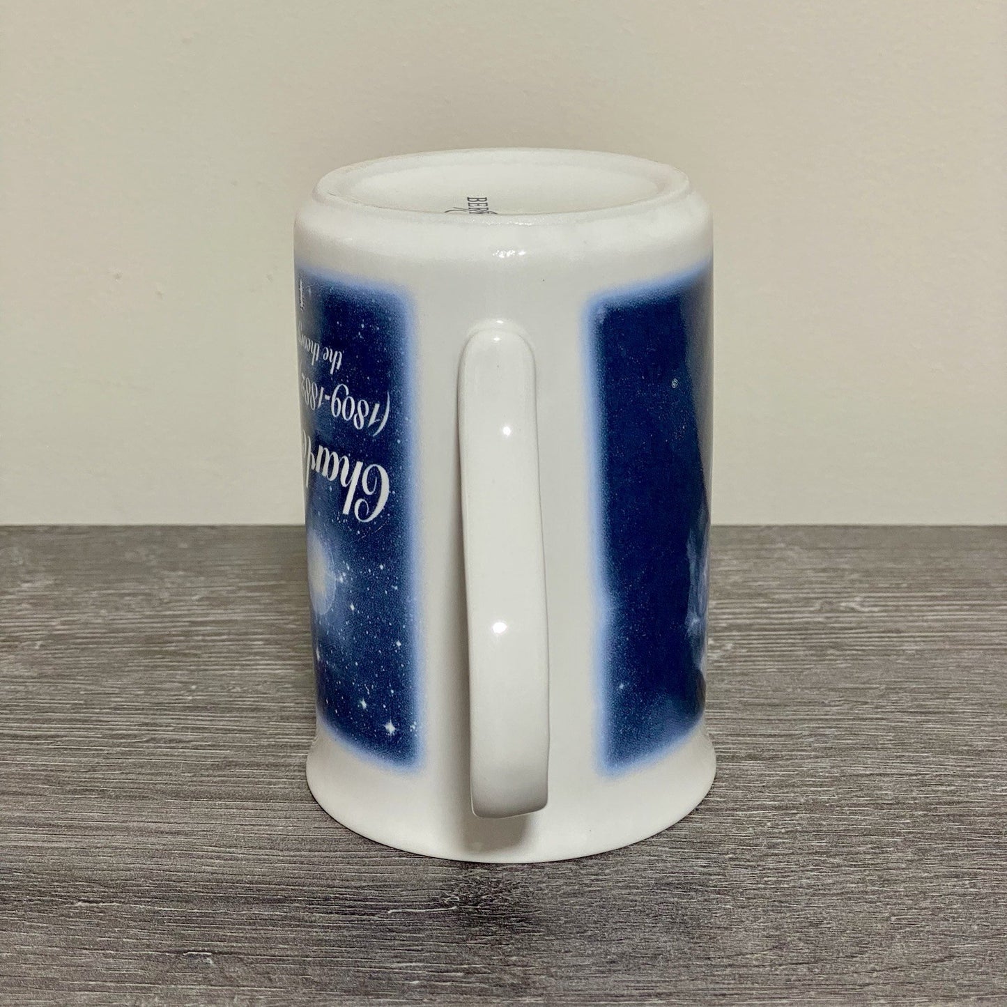 Charles Robert Darwin 99 Coffee Mug Tea Cup Berkshire China Collectible Rare